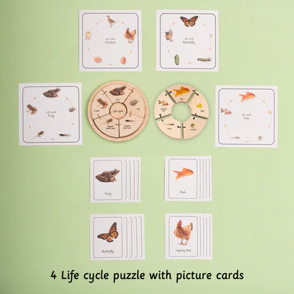 Little Bambino Montessori Life Cycle Puzzle