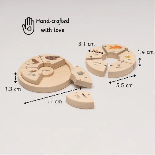 Little Bambino Montessori Life Cycle Puzzle